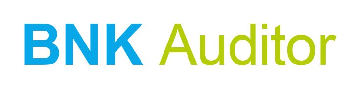 BiRN – BNK/BNG Auditor